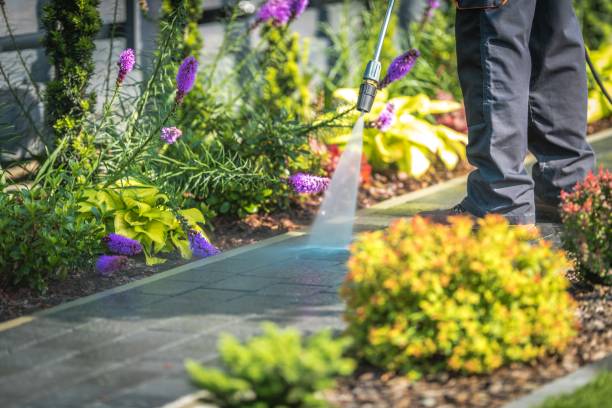 Best Spring Cleaning  in Excelsior, MN