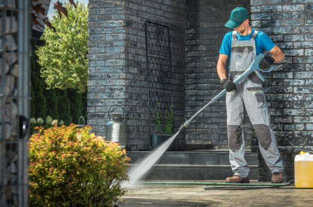 Best Fence Cleaning  in Excelsior, MN